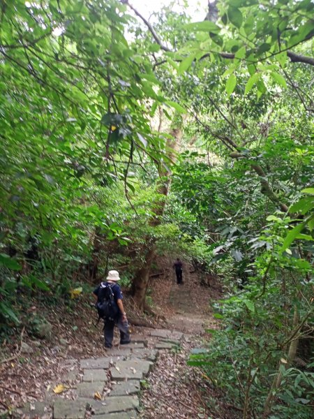 2-2 紗帽路旁磺溪祕境→白雲瀑布→陽明山前山公園→陽明醫院舊址1825892