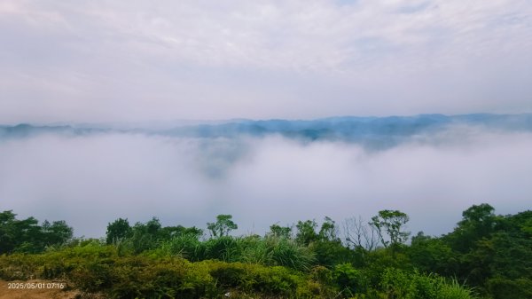 翡翠水庫壩頂 #火燒雲雲海 #日出雲海 #鱷魚島 #藍腹鷴 4/292773798