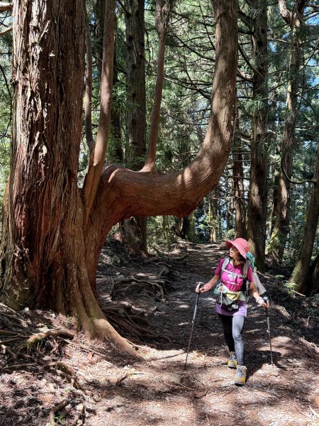 馬崙山 202509062889341