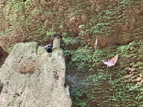 彰化一線天2657574