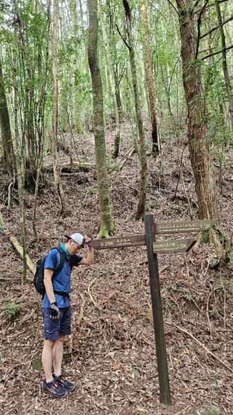 20251014雪見遊憩區 🚴‍♂️咖搭車走司馬限林道上東洗水山兩刷北坑山至大板根2916421