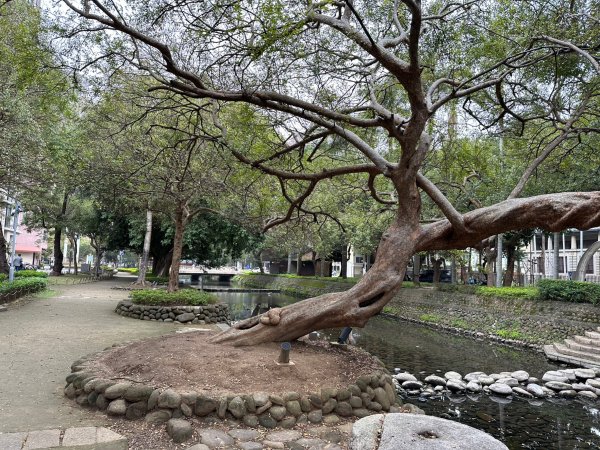 新竹護城河親水公園周邊輕鬆走2034898