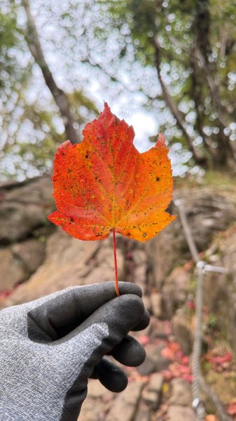 加里山 2025 12/282971702