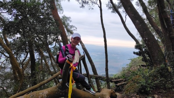笠頂山單攻西大武山(西北峰) 九星連珠搏命演出歷險記 2025年3月20日2738994