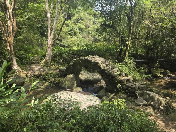20260623中坑古道-仿山坑古道-火燒寮古道徹退3079469