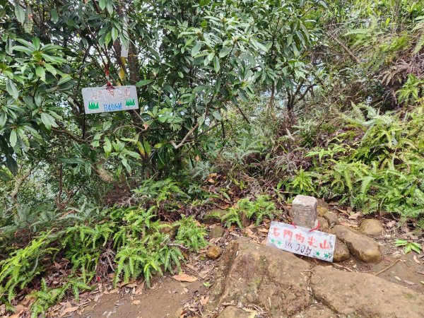 20241228 探索後花園2678336
