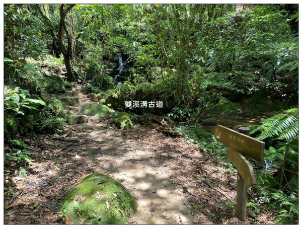 臺北大縱走第四段 風櫃嘴至捷運大湖公園站3079935