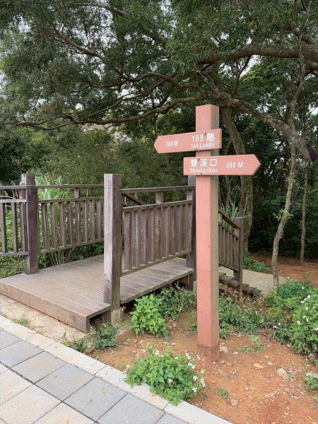 新北 林口 國際AI智慧園區-工一森林小徑-雪花步道-祖師巖登山步道-湖內公園3019096