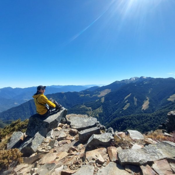 2025/228 武陵四秀2926738