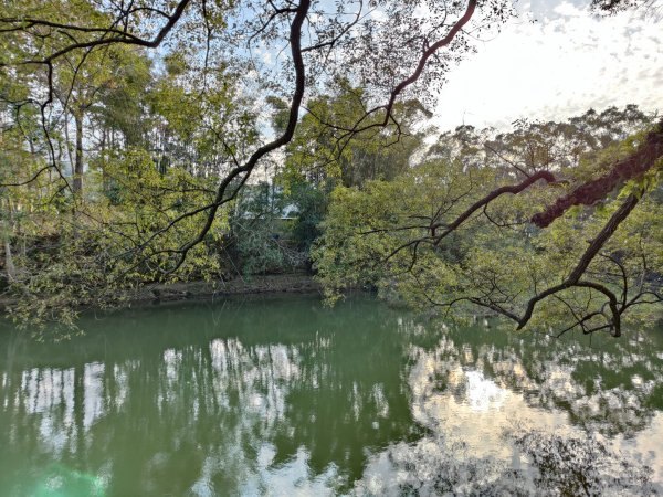 2024.01.07 橫山三叉埤、墩子銃古道2843815