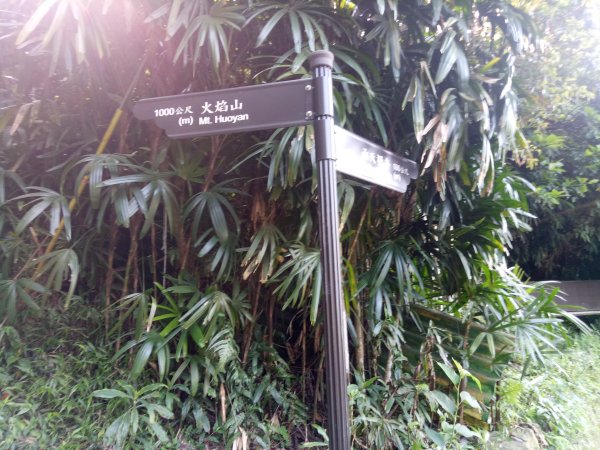 南勢角山縱走天上山1866386