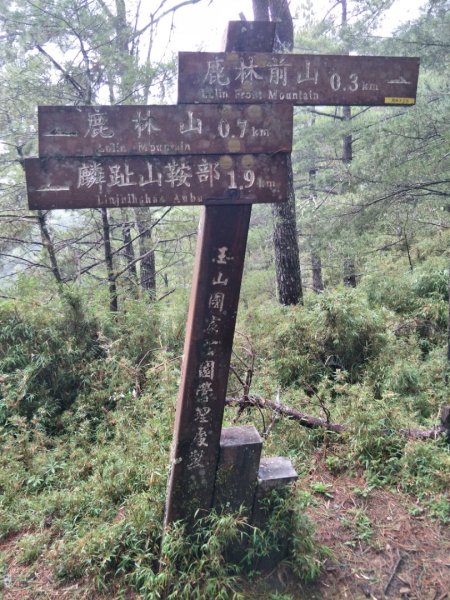 玉山登山囗-麟趾山-鹿林山-鹿林前山1429988