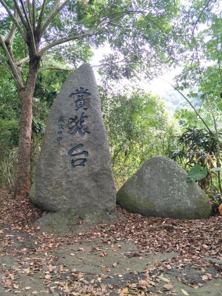 2018 10 18 松柏坑山438235