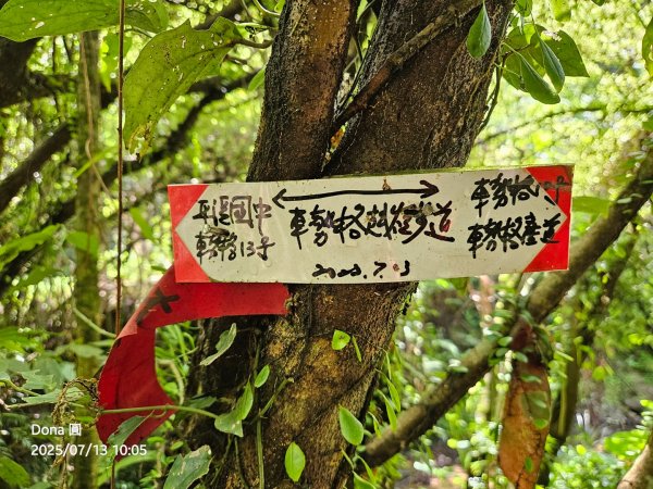 【菁桐】巡山東勢格古道全段加碼臭頭山2848018