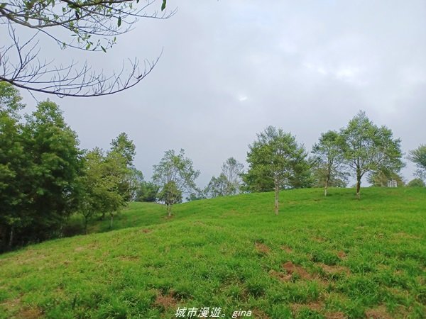 【花蓮富里】騎車比爬山還累。 小百岳集起來。 編號92小百岳-萬人山步道1747049