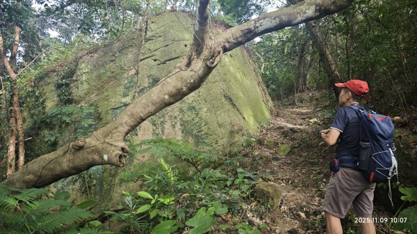 20251109 士林站到大湖站(福山宮_腰繞_燕溪古道_翠山步道_龍船岩_大溝溪)2932340