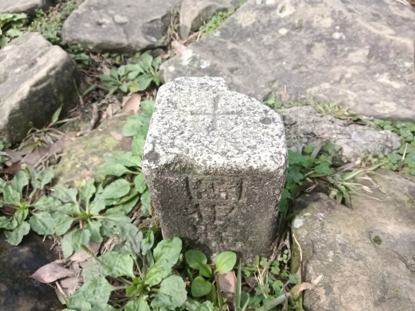 大尖山櫻花-龍船洞-秀峰瀑布2733734