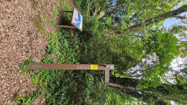 【暑假停課不停走】解鎖第49座小百岳#093都蘭山2822532