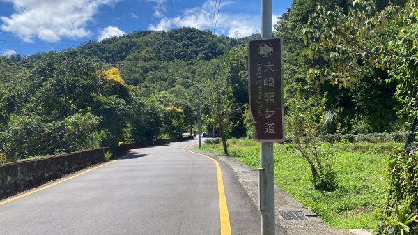 深坑 O 型環走｜大崎嶺步道・林家草厝・茶山古道・炮子崙瀑布（含冷門山徑）2895101