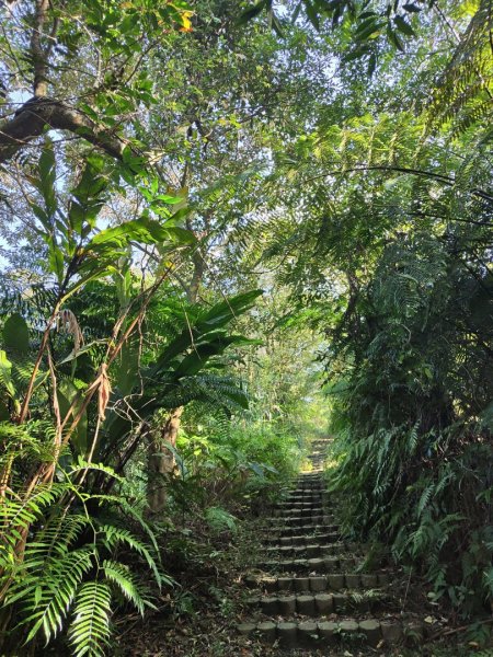 2023.12.08 土庫岳2695264