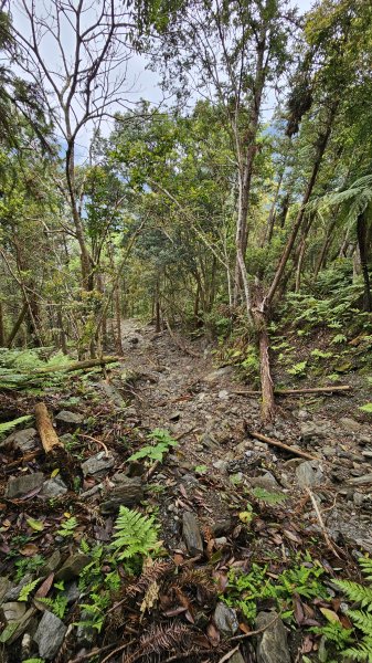 【美美兔走山趣】瓦拉米單攻27.2K-神人級路線。2773388