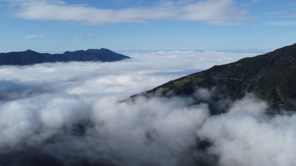漫步在雲端~觀霧1533330