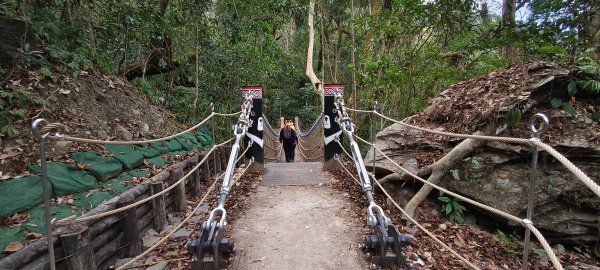 2026/01/01_雪山坑環線步道O型2978090