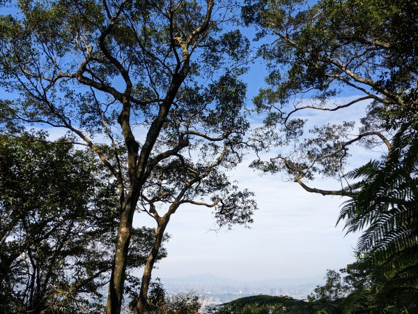 鵝角格東峰 鵝角格山 六分山 四面頭山 貓空尖 十六分山 三玄宮山2006167