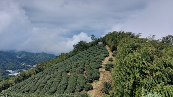 雲嘉九連峰1438958