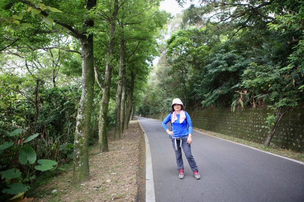 樹林➡️鶯歌➡️桃園（福源山、銘傳大學）1020124