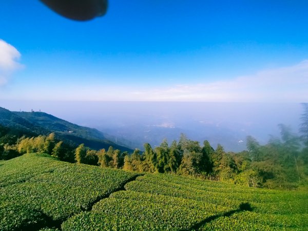 雲嘉連峰2365699