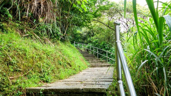 大尖山步道2833797