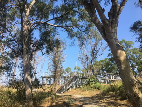 關廟森林公園、天空步道2423609