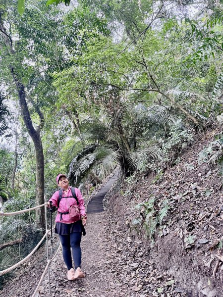 雪山坑步道悠遊順訪雪山坑山(再訪)  2025.12.32953740