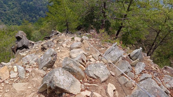 東卯山東南稜原路往返（德芙蘭步道小o繞）尋找失落的石觀音2082146