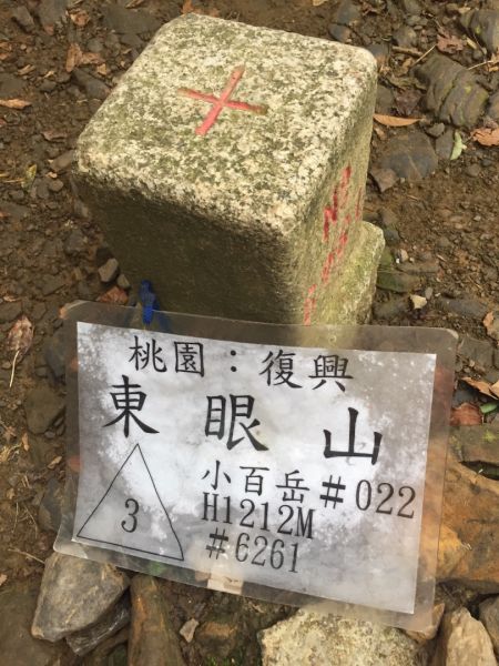 180902貓仔們第二座小百岳東眼山397353