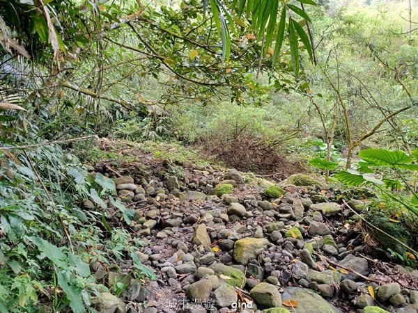 【台南白河】雞籠山+九龍山+大凍山O繞縱走2797136