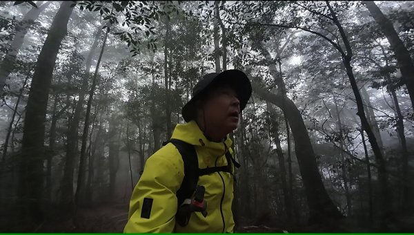 台中 鳶嘴稍來山O繞+稍來神木2989459