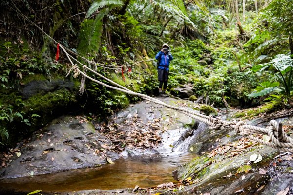 新竹石牛山步道｜小百岳2756517