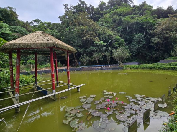大社觀音山十三連峰環形