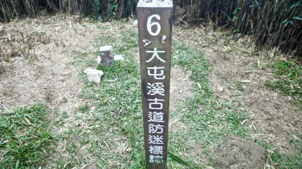 小觀音山群峰、大屯溪古道708075