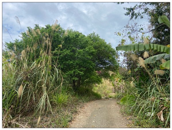 大堀底山 (穿霧隘勇線)3023660