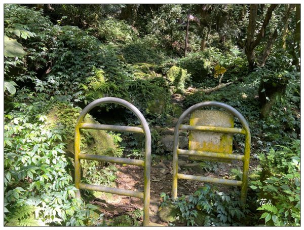 草嶺山、白石山、頭寮山 六連峰 O型路線2798621