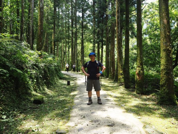 《宜蘭》北橫明珠｜明池國家森林遊樂區201805192889316