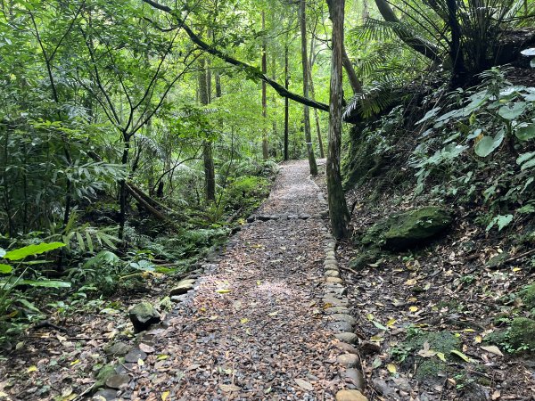 [微笑山線_第十二段] 2025_0803 五分山系_望古瀑布2851545