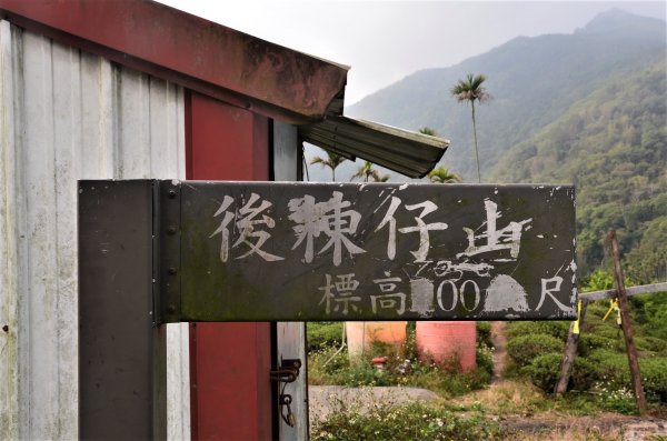 後棟仔山 & 雲嘉大尖山1378223