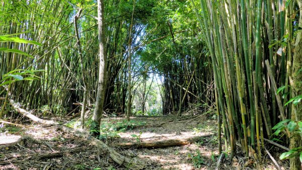 梅竹蹊山,麻竹坑山,苕谷瀑布,蝙蝠山2883311