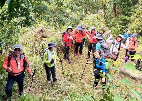 阿里眉山+大舌滿山（路跡不明/未竟 ）2866350