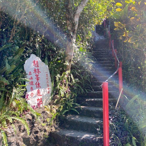 步道巡訪員 l 聖母登山步道109年七月份巡訪1052996