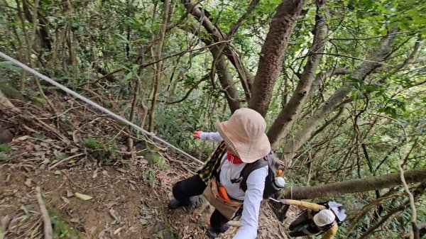 20260112月扇湖山&四分子古道O走+烏塗溪步道2986523